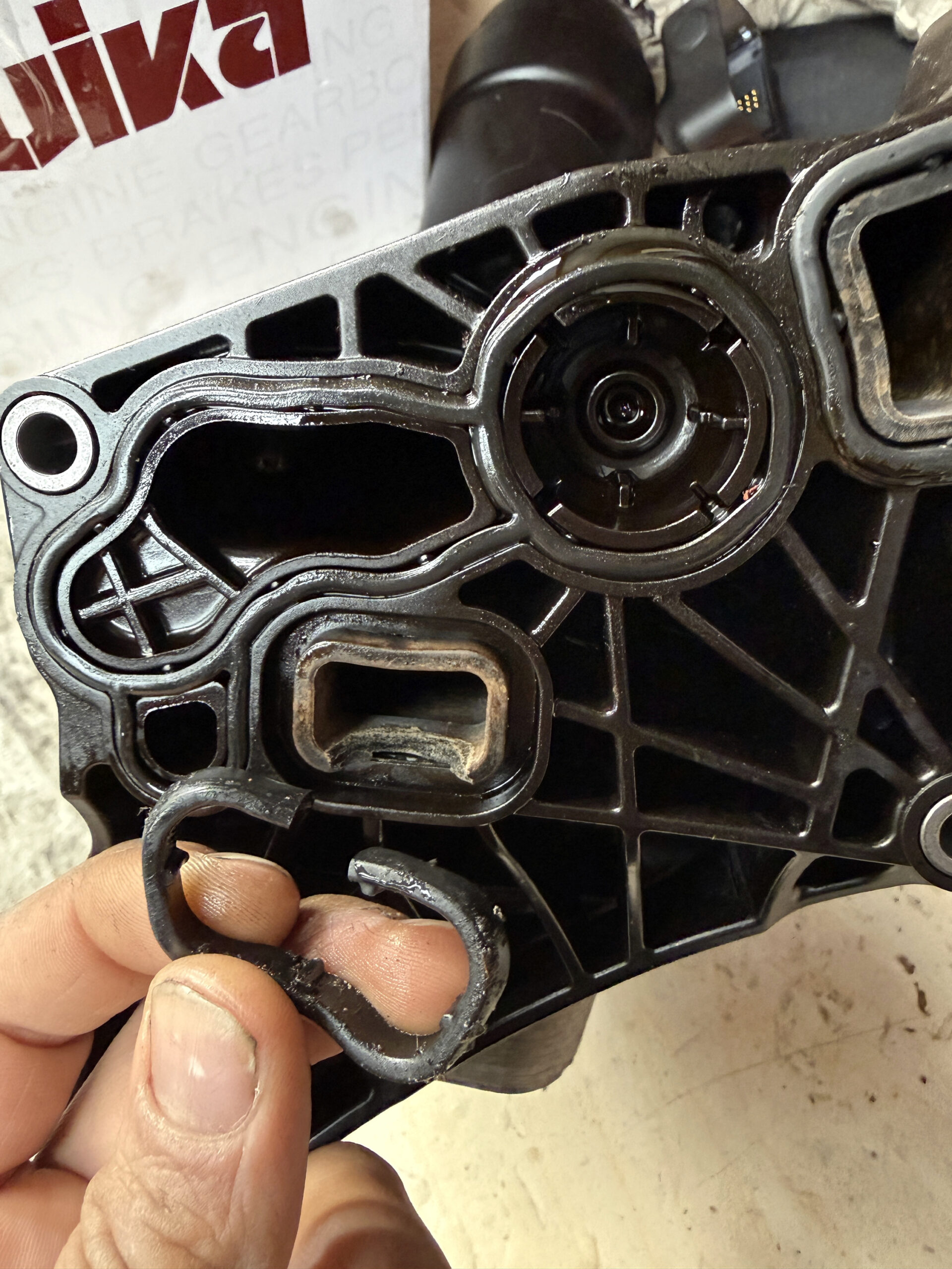 Removed torn seal held in front of the damaged BMW X3 oil filter housing sealing seat